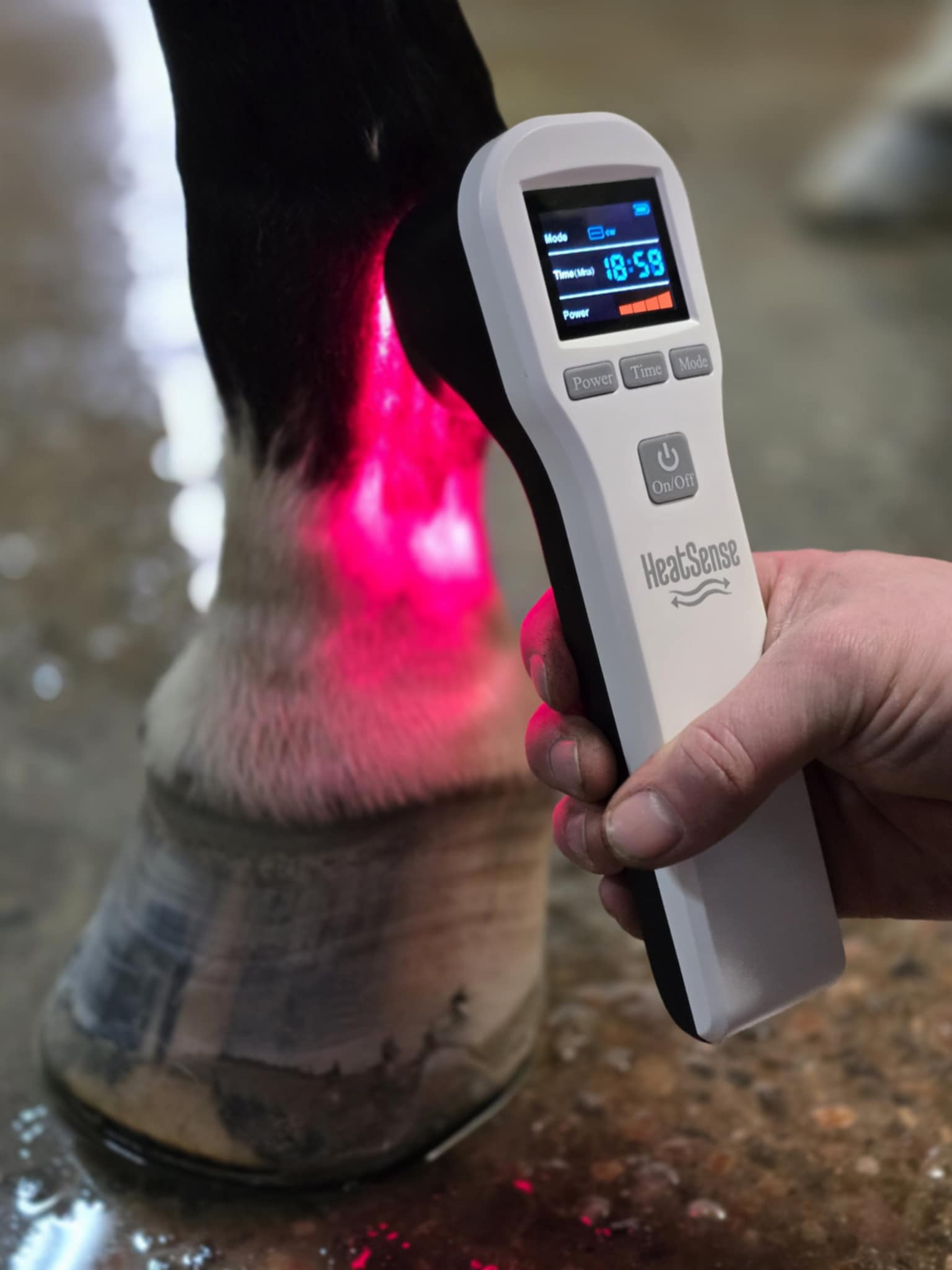 heat sense laser s 2 for horse