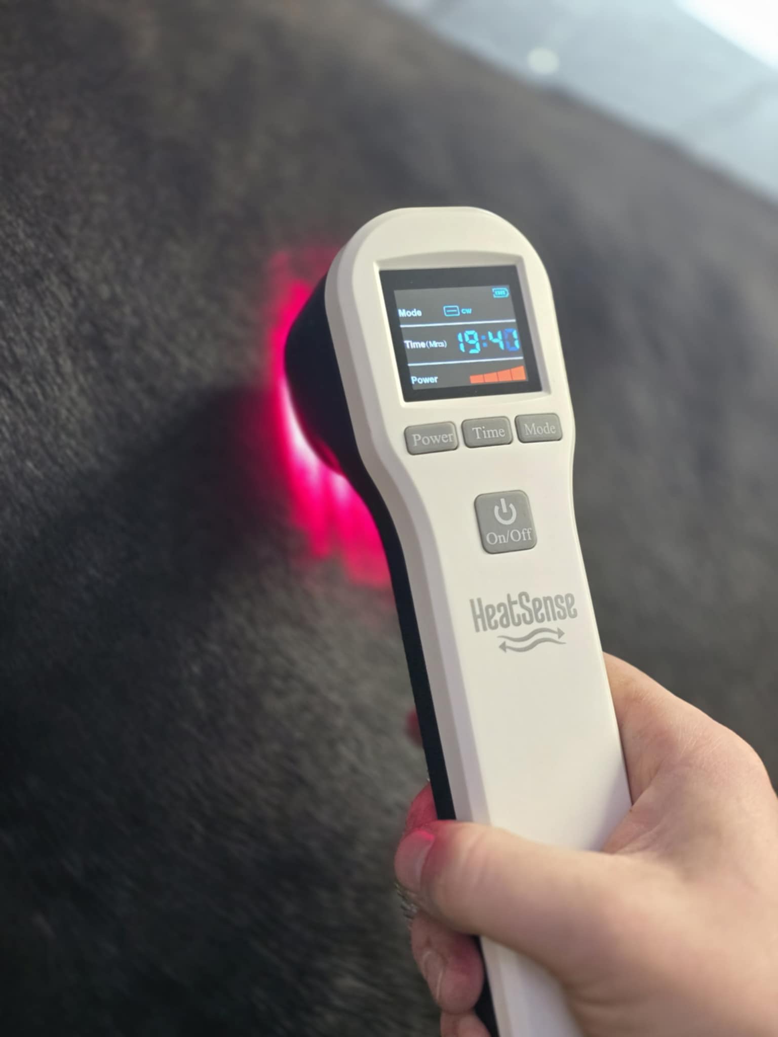 horse laser s 2